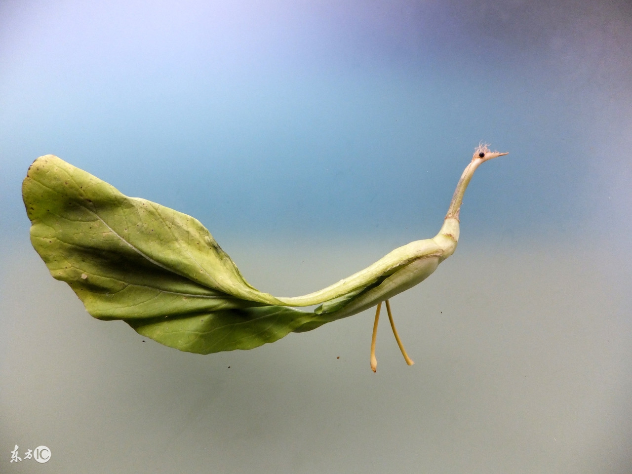 曾国藩人生只有两件事搞得住,曾国藩人生只有两件事靠得住