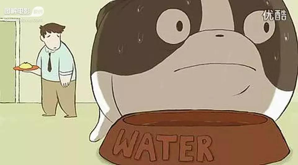 1分钟看完煎蛋饼养只狗狗来做饭狗版の田螺姑娘