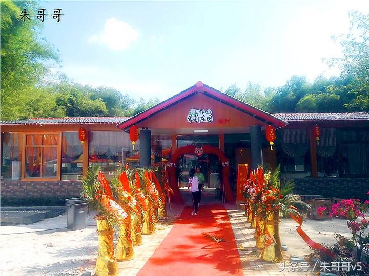 横县校椅镇马毕村茉莉庄园,广西横县茉莉庄园