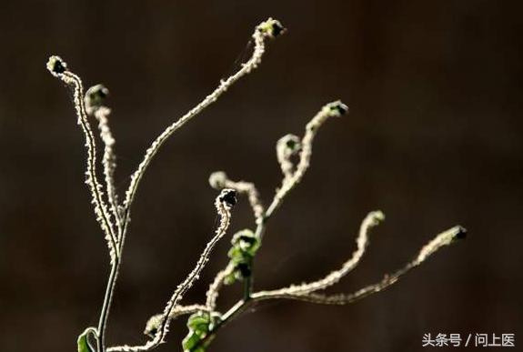 痛经该怎么办？看美国家庭医生推荐的13个好办法