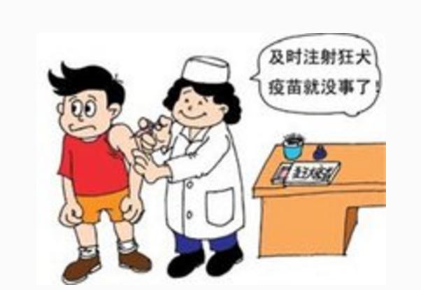 对狂犬病疫苗过敏紫癜还要打吗,狗咬了出一点血光打狂犬疫苗行吗