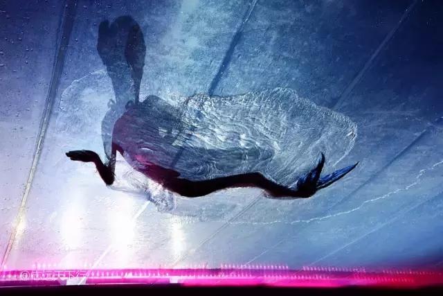 三亚最值得小朋友去的地方,三亚美景小孩最喜欢玩的地方