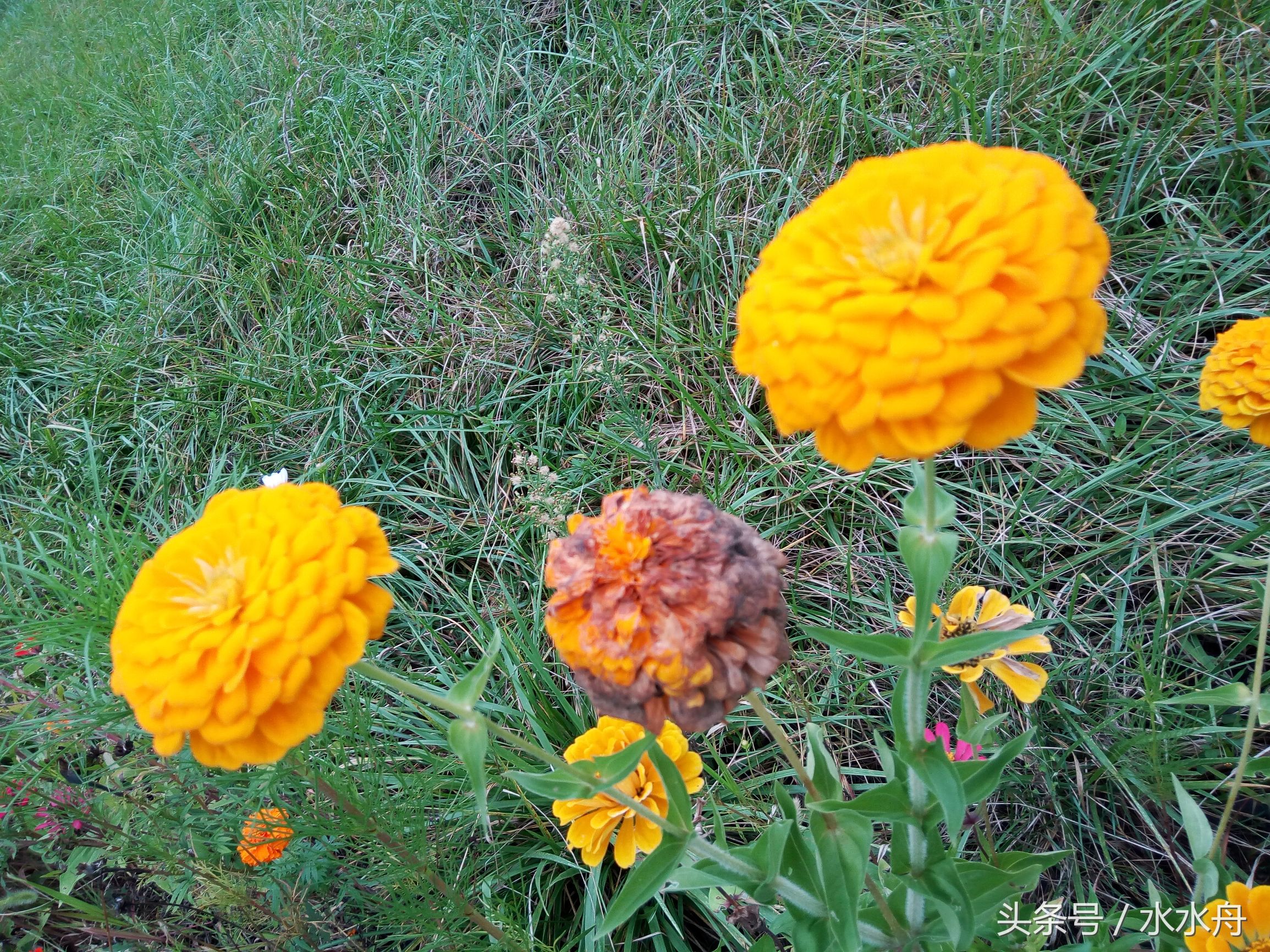 有一个很“娘”的老公是什么体验，看看老婆们的感受