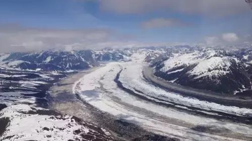 哈士奇刷新了我对二哈的认知,这只哈士奇颠覆了我对二哈的看法