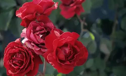 懒人福利丨衣食住行玩一次搞定!只有这里!