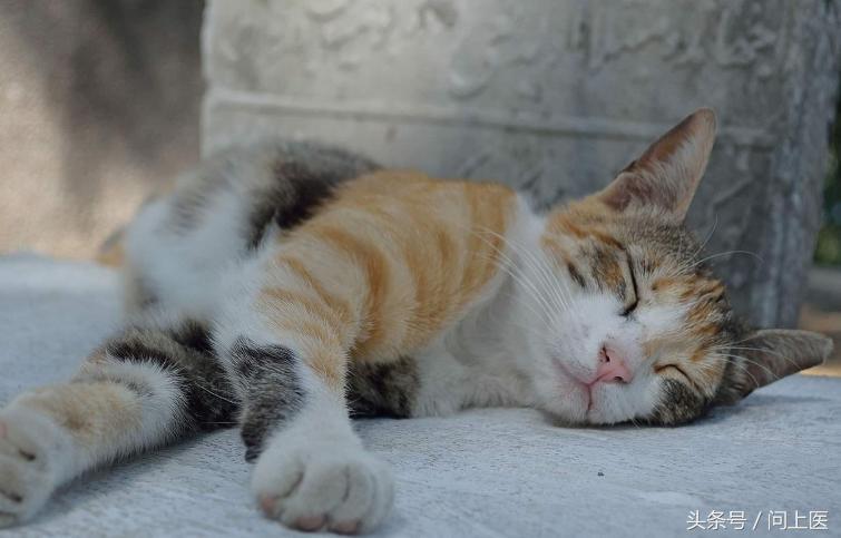 痛经怎么缓解多喝热水,痛经平时应该喝点什么