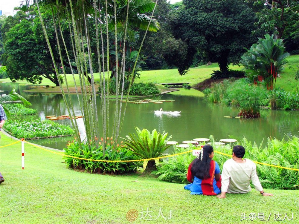 达人J：新马声色任逍遥