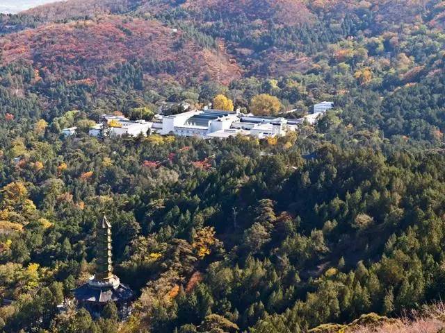 全球亿万富翁最多的十大城市,世界亿万富翁最多的城市