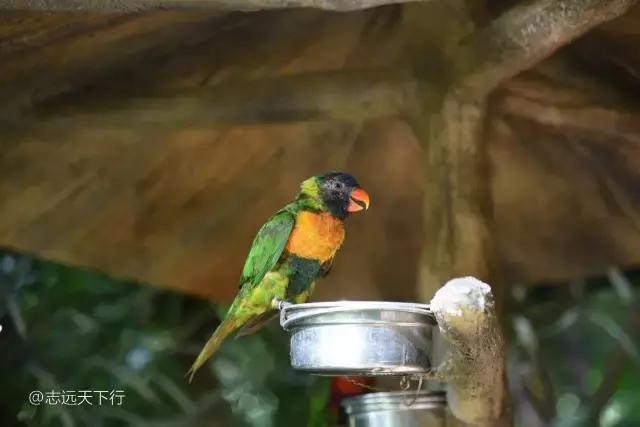 三亚合适小朋友玩的景区,儿童度假旅行三亚