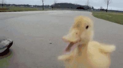 新鞋磨脚如何软化,新鞋磨脚怎么让鞋子变软