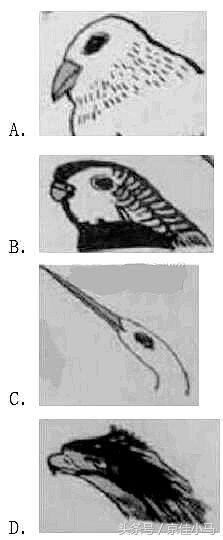 2017年上半年教师资格证考试幼儿综合素质笔试真题