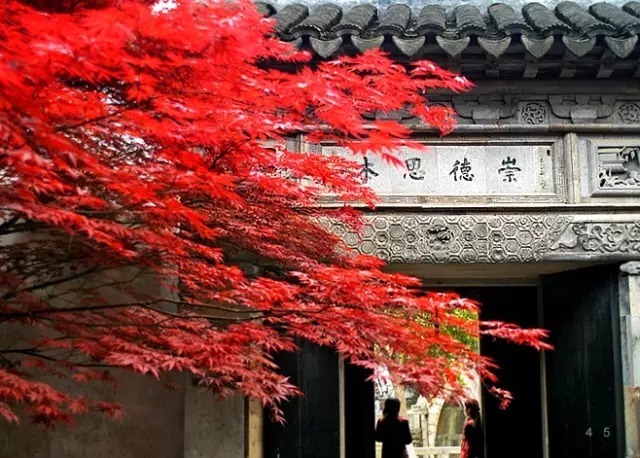 东方小威尼斯江南六大古镇,东方小威尼斯水乡风景区