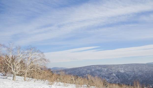 初冬掠影,哈尔滨的冬日魅力