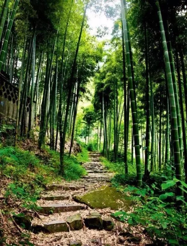 深山原始村落自驾游,大山深处古老村落自驾游