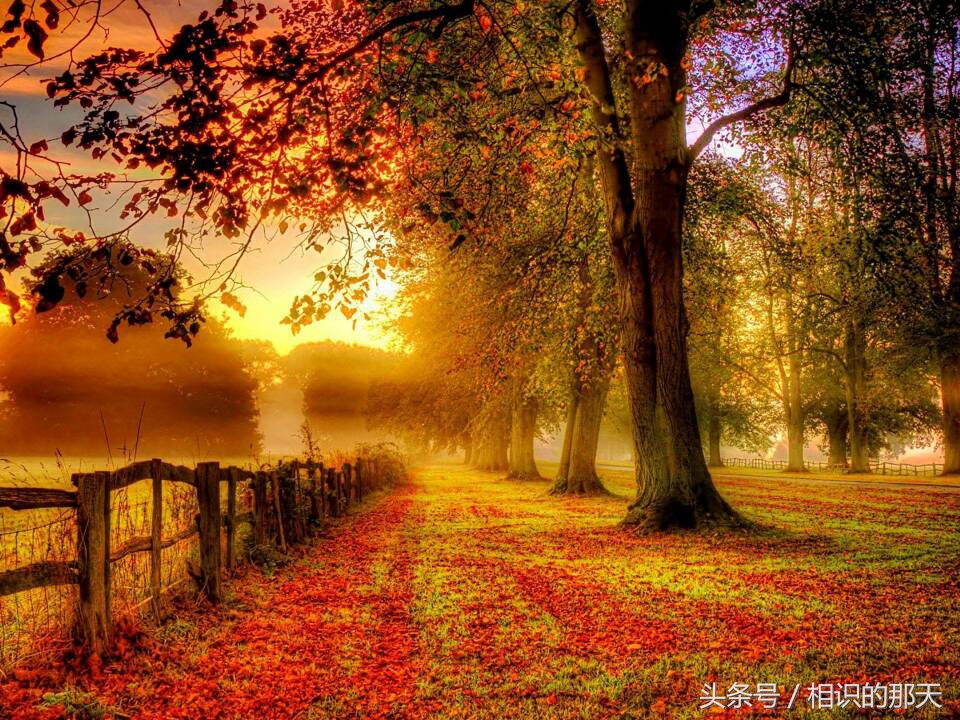 属鸡哪几年运势最好呢,属鸡人本命年下半年运势如何