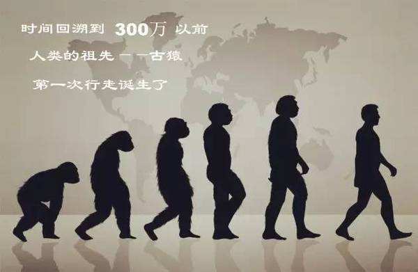 生物进化史人类还会进化吗,生物进化论三大未解之谜