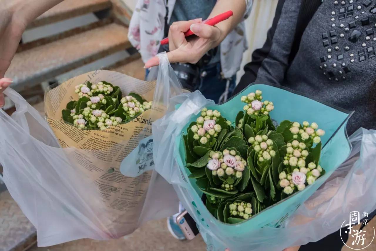 南京市最大的花鸟鱼虫市场在哪里,逛花鸟鱼虫市场的视频