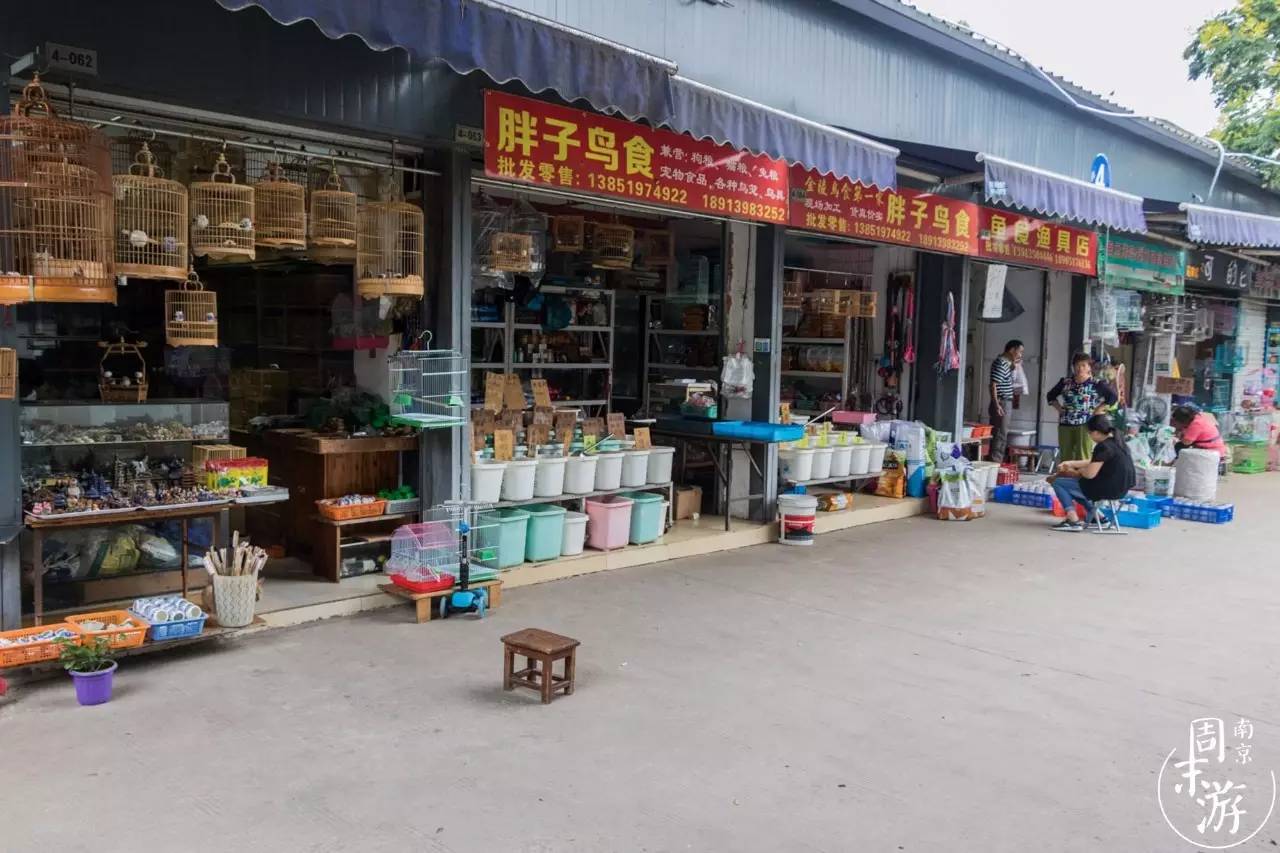 南京夫子庙花鸟鱼虫市场,南京花鸟鱼虫市场