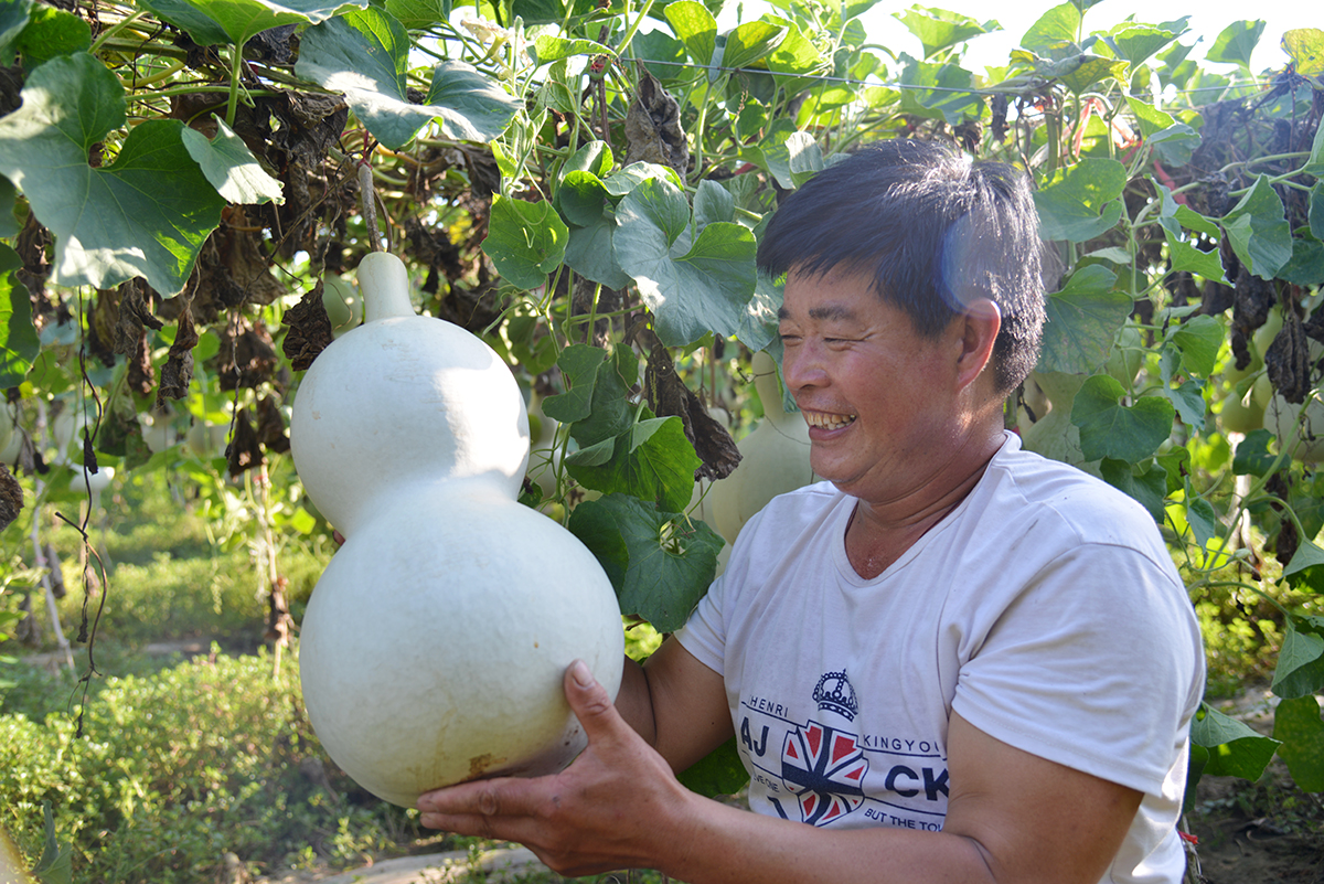 现代版的《葫芦娃》在咱南贾镇上鲁村精彩实景演出，您也过来看看