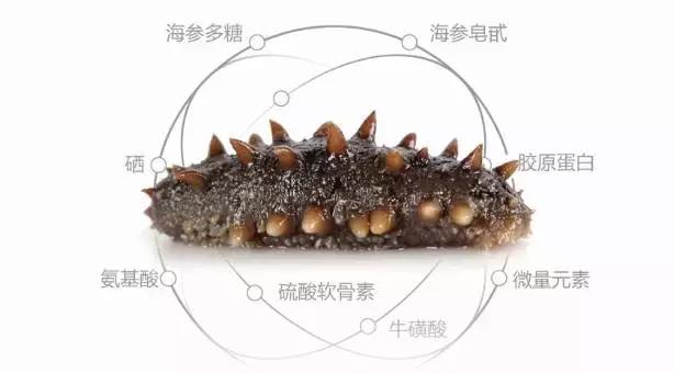 怎么选择海参呢 (自己怎么选择海参)