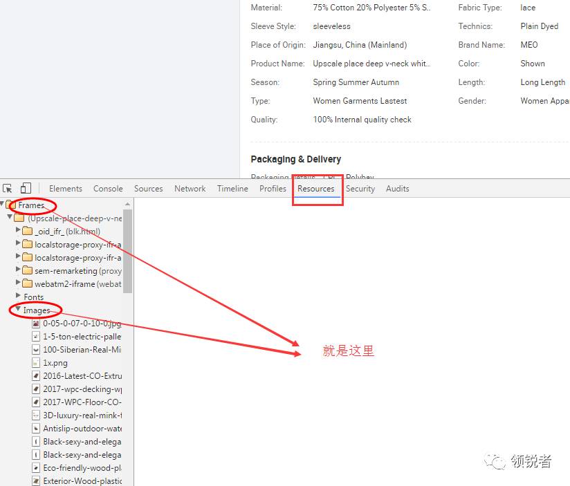 怎么拿到网页里的图片,怎么在网页放置图片