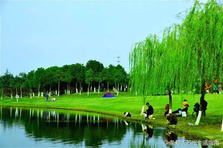 黄桥绿化,黄桥家园