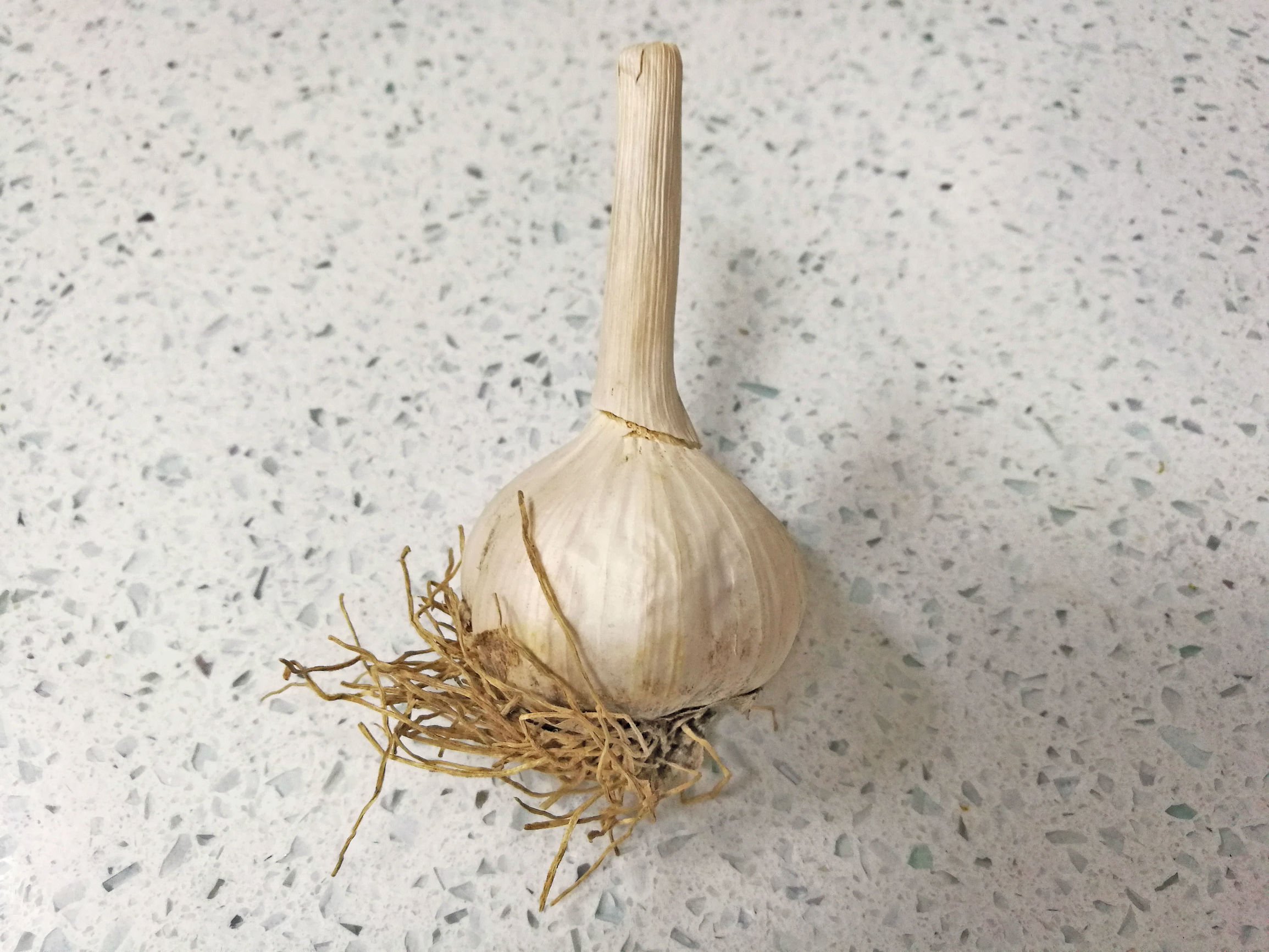 烧茄子无需油炸上锅蒸,烧茄子不过油蒸十分钟