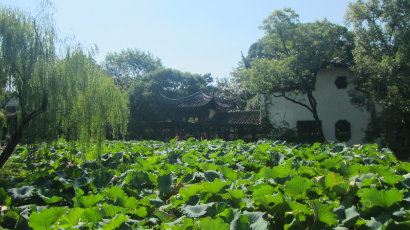 苏州西塘乌镇二日游团从杭州出发,苏州西塘乌镇二日一夜