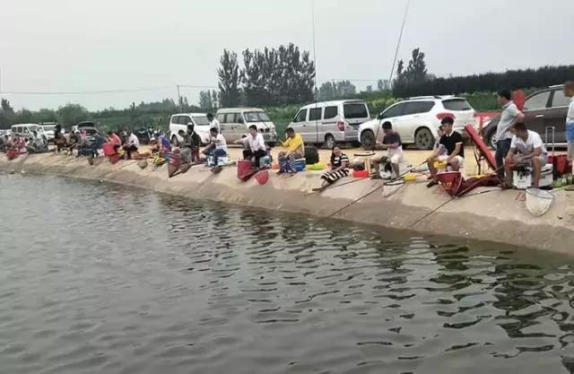 行营钓鱼节,行营钓具比赛视频