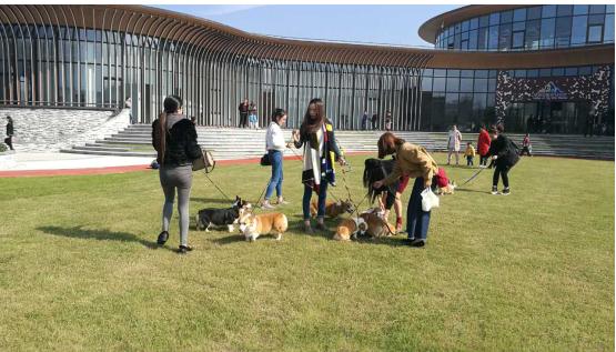 小米mix2尊享版标准版,小米mix2尊享版有限量版吗