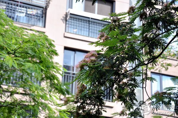 儿童玩具无敌滑板车,ninebot电动滑板车拆解