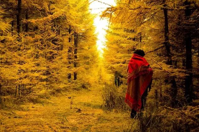 张家口之夜景色真的很美,从来没有见过的张家口美景