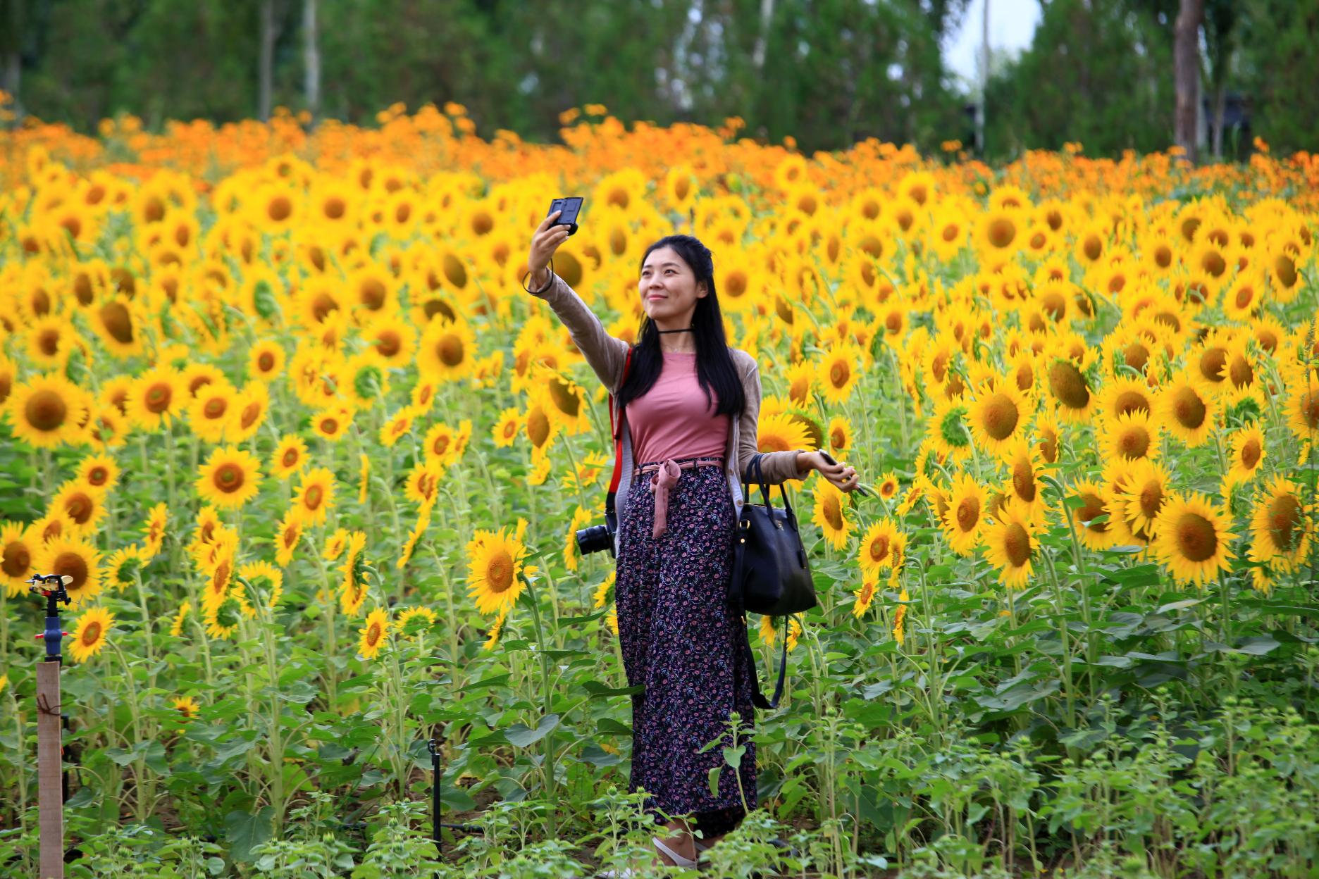 昨日重现yesterday清唱,昨日重现英文yesterdayoncemore高潮版