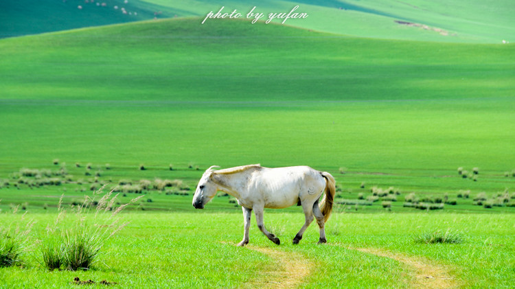 五一锡林郭勒游玩,几月份游锡林郭勒适合