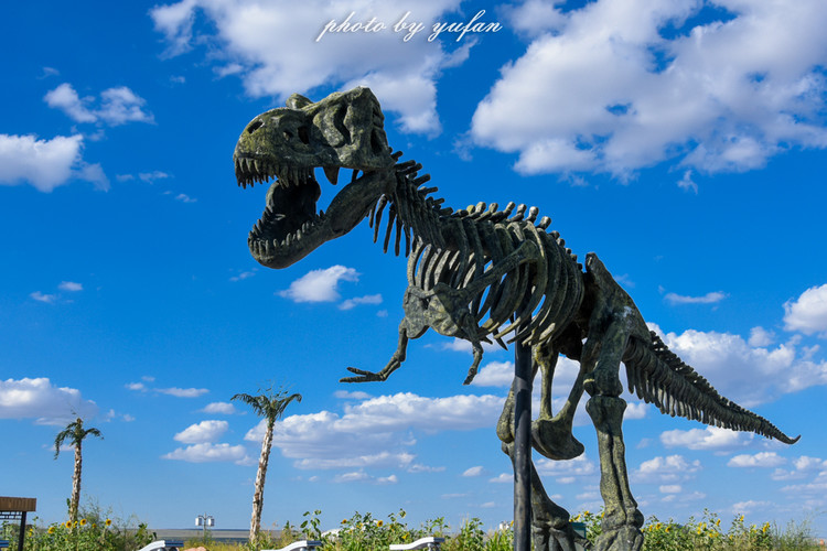 五一锡林郭勒游玩,几月份游锡林郭勒适合