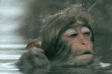 想要治疗遗传性脱发，原来还是要从这点入手……