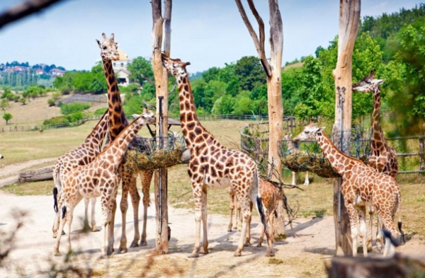 释放孩子无限能量,释放孩子自然的力量