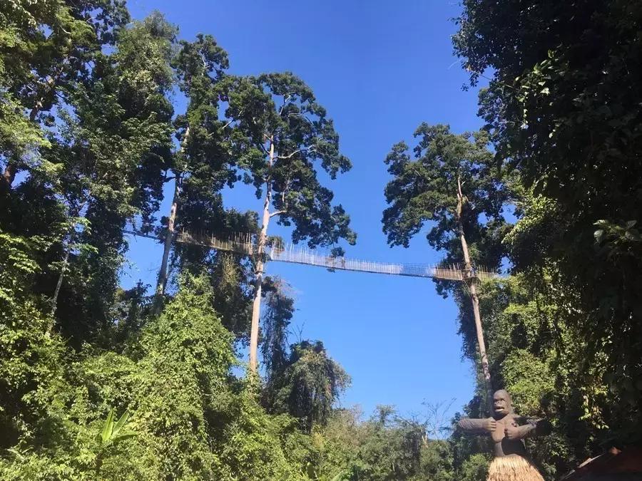 元旦成都出发两天一夜旅游攻略,成都出发三四天旅游推荐国庆