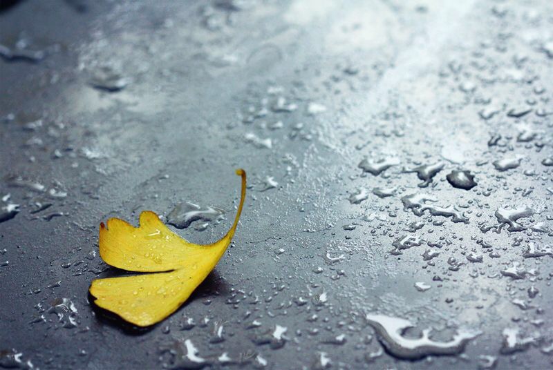 老婆沉迷微商,老婆做微商近半年整个家都毁了