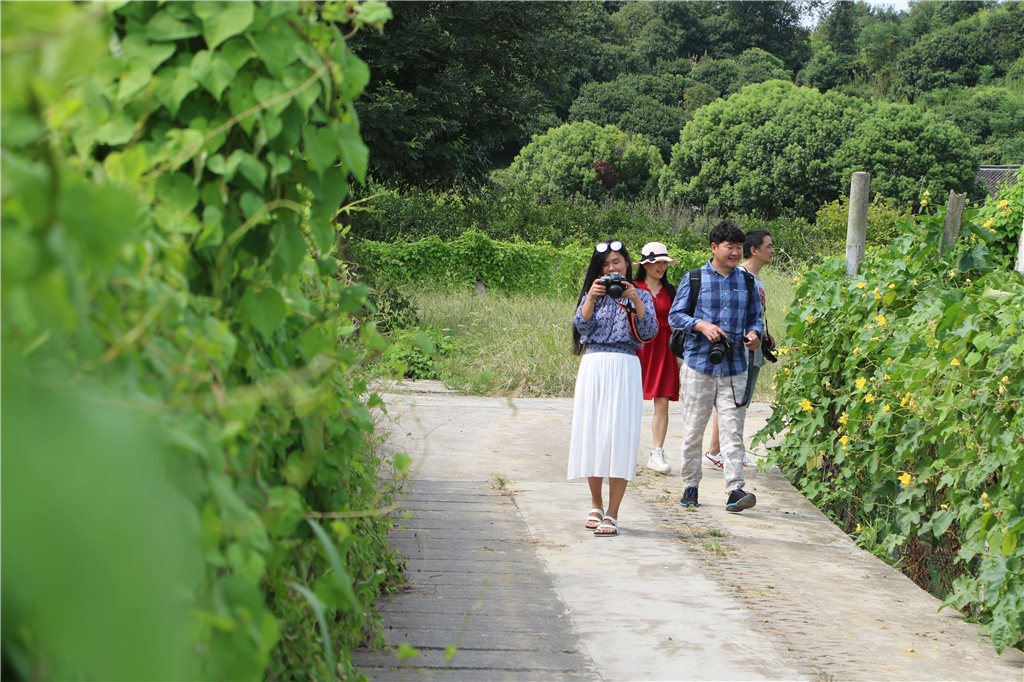 品农家菜,品农家美食