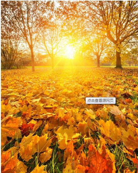 开始发现痔疮用什么消炎最好,感觉要得痔疮了如何挽回