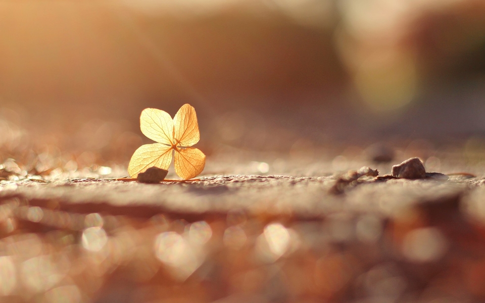 女人在婚姻里面应该保持什么姿态,女性在婚姻中应有的姿态