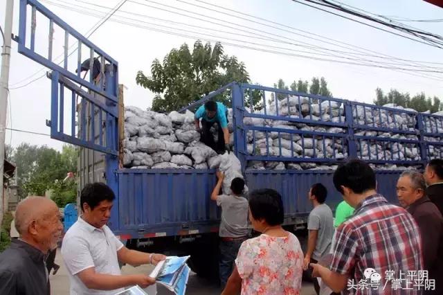 平阴新闻｜群众选房搬新居；首届林果采摘节；心理协会公益讲座