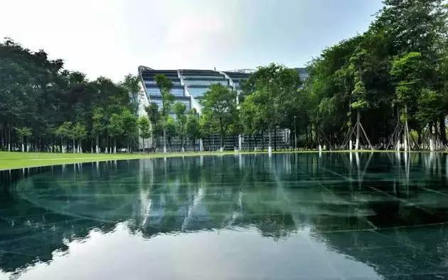 成都再登城市榜首,成都成为全世界唯一上榜的城市