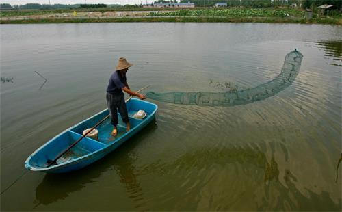 龙虾塘下地笼怎样能多逮龙虾,地笼捕龙虾最快最多的办法