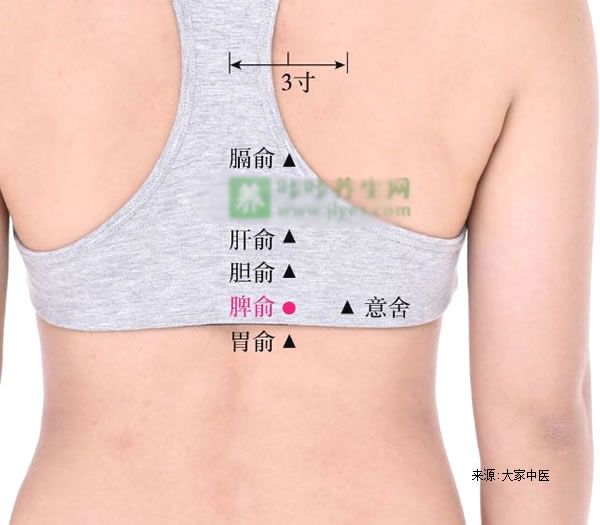 脾胃寒舌苔白厚艾灸什么穴位祛除,艾灸调理脾胃虚弱的方法