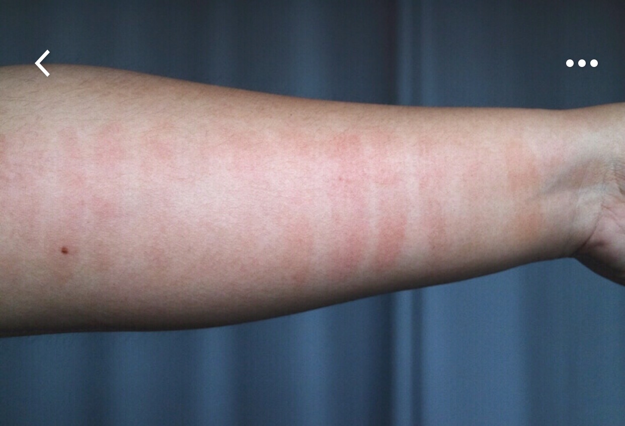 秋季新款黄皮口红日常大牌,初秋大牌口红颜色推荐