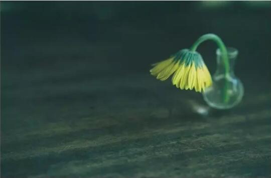 地阔能容山河心宽能容天下难容,眼宽能容天下景心宽能容天下事