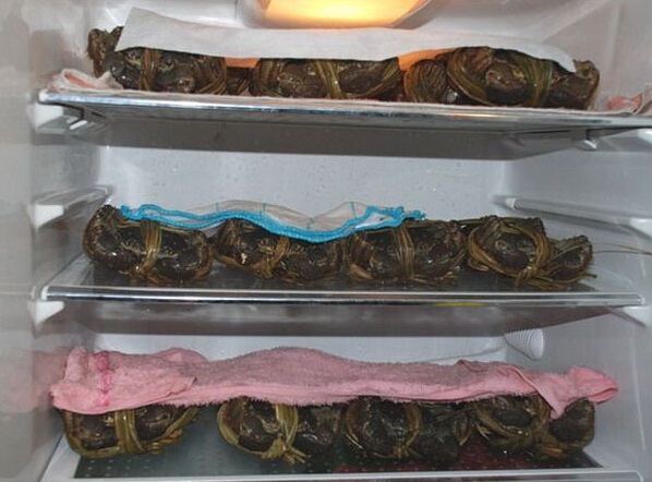 悦湖鲜阳澄湖大闸蟹怎么保存,阳澄湖大闸蟹冰箱保存图片