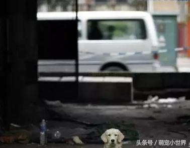 流浪汉冻死街头后续,流浪汉冻死在雪地